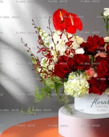 صندوق الفن القرمزي view 2